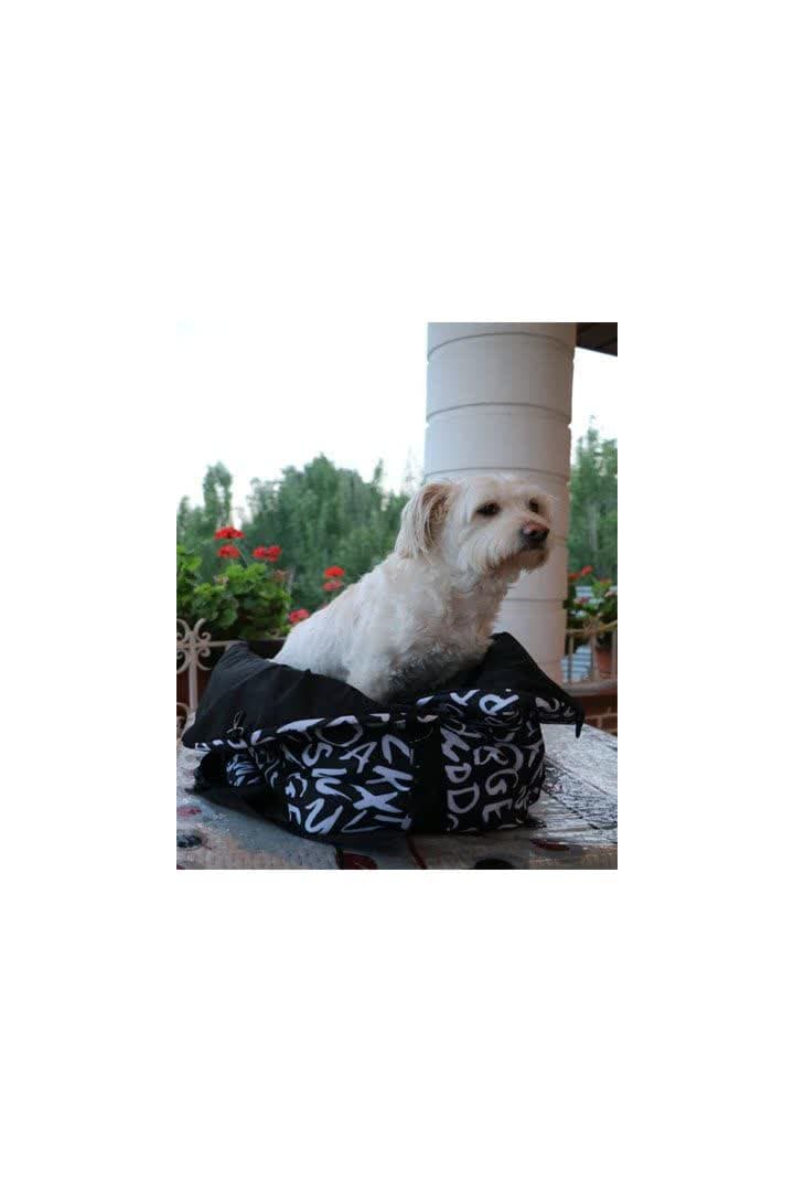 pet bag2 کیف حمل پت سه منظوره