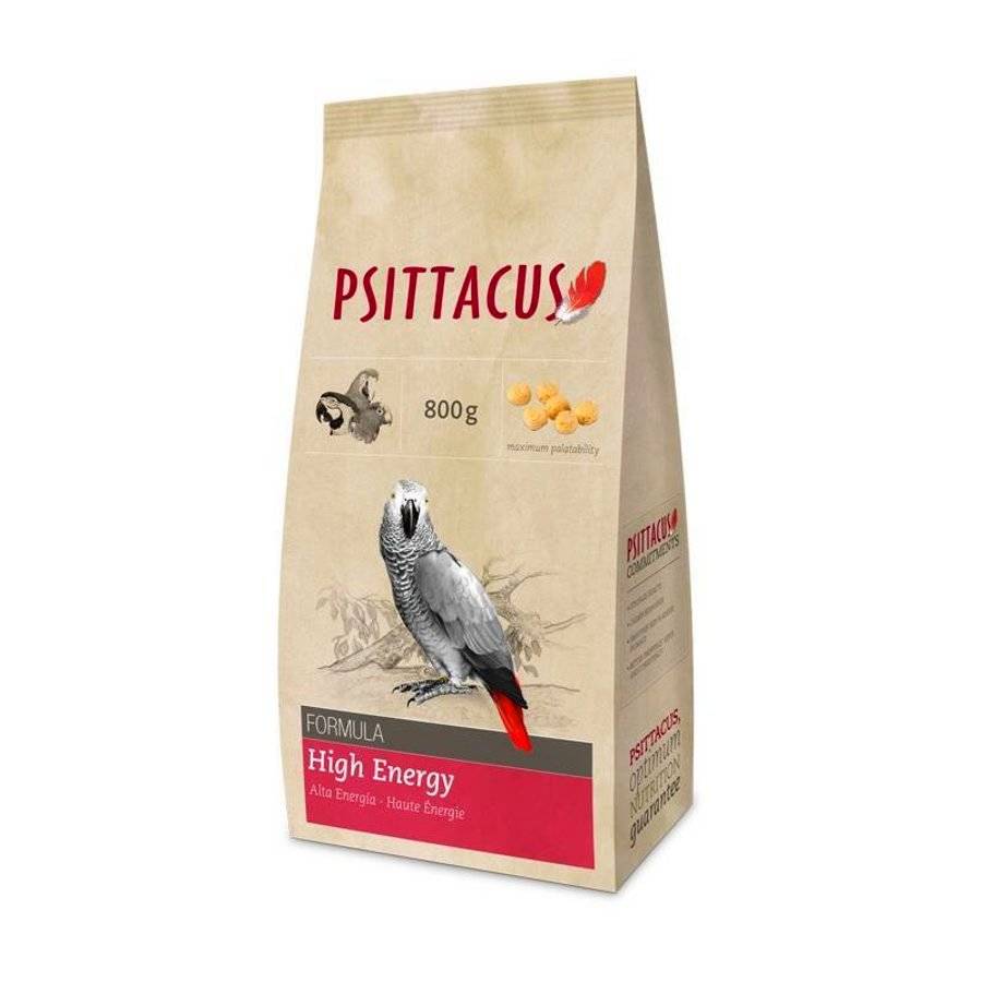 psittacus-maintenance-high-energy-1-2 غذای طوطیان آفریقایی برند سیتاکوس
